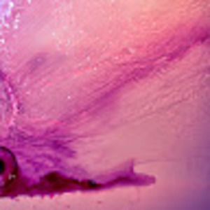 Meet your Posher, Becca